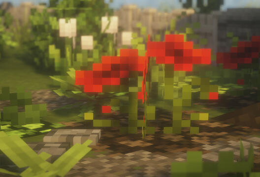 Ikuyuk's Botanic Collection